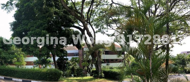 Island View (D5), Condominium #169293762